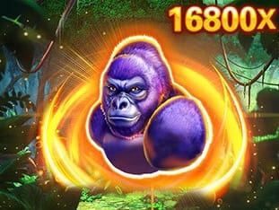 Kong game cover