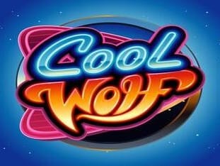 Cool Wolf game cover